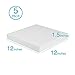 Silverlake 12x12x1.5 Craft Foam for Styrofoam Block Projects (5-Pack)