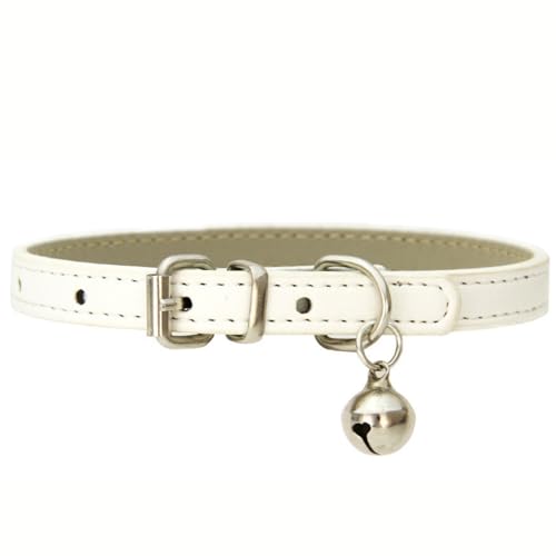 AQUALOACH L  STCY t ^L ^ p 킢 y Vv  É ybgp  (zCg)