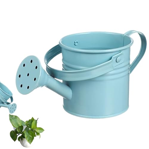 Regadera, contenedor de hierro galvanizado para plantas, soporte decorativo para flores con asa, accesorio de jardín para patio, césped, reuniones familiares, amigos, adorno al aire libre