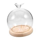 Garneck Cúpula de Vidrio para Flores Preservadas con Base Plana Estable Cubierta Decorativa Polvo para Exhibición Hogar y Oficina Adorno Creativo y Duradero