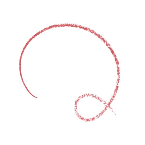 Image of Essence soft & precise LIP PENCIL 207 My Passion, lip pencil, orange, intense colour, precise definition, 0.78 g (Pack of 2)