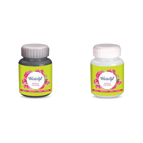 Image of Fevicryl Acrylic Black and White Colour Combo, 100ml Each | Suitable for Wood, Glass, Canvas, Metal, Plastic | Ideal for Beginners, Artist, School Projects, DIY