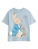 Peter Rabbit Kids Light Blue Graphic Tee | Short Sleeve Crew Neck Cartoon T-Shirt | Character Print Top for Children | Unisex Streetwear Merch - 2-3 Years