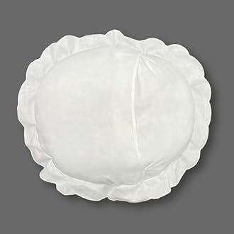 MODERN HEIRLOOM Embroidered and LACE 2-PC Pillow Decorative Pillow Set, 16 inches, Cynthia White 16" 2 Count