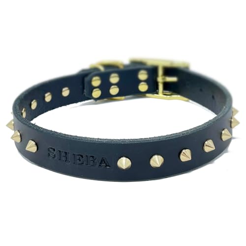 Handmade Personalized Spiked Bridle Leather Dog Collar, Gold/Brass Tone Spike Rivets, Embossed Name (Black)