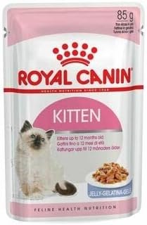 Royal Canin Kitten in Jelly Wet Cat Pouches 85g (Pack of 12)