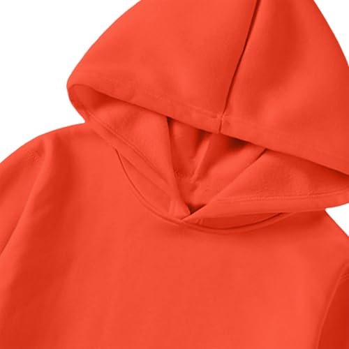 Hoodies for Men Long Sleeve Sweatshirts for Men Outdoor Fall Outfits Workout Athletic Hooded Loose Pullover Tops4