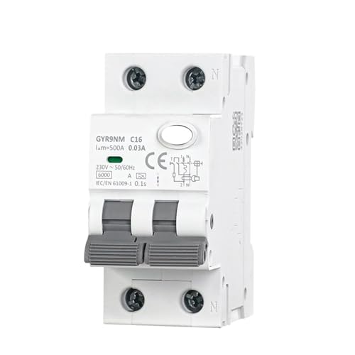 RCBO 2P 10A 30mA disjoncteur magnétique Type A GYR9NM