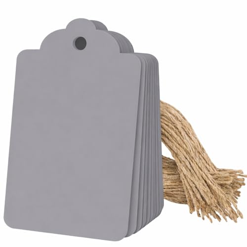 Image of CVANU 100pcs Premium Color Tag Blank Hanging with Pre-Punched Hole Tags for DIY Crafts, Gift Wrapping, Labelling & Writable Decorative Tags for All Occasions (2.85in X 1.7in) Grey1