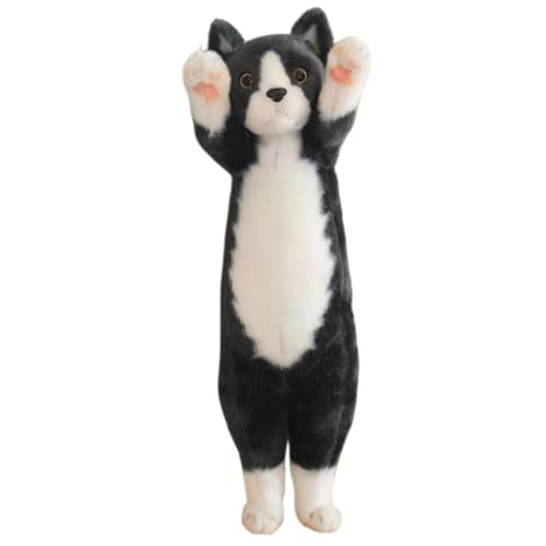 BIBAPUn킢Lʂ - yʍébQYQE\t@[wđ@\bELObYbaEzf[Mtg (58cmi0.4 kgj,D) [sAi]