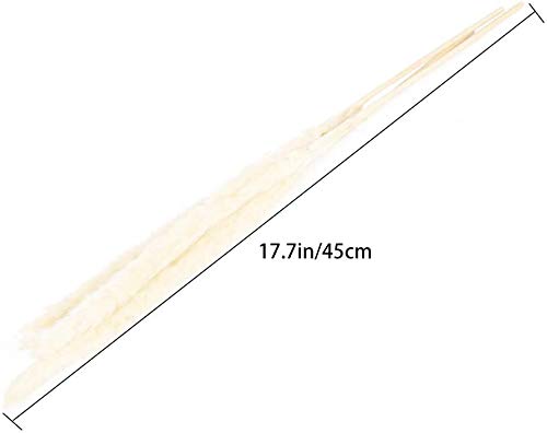Viilich Gedroogde bloemen Pampas Gras, 45cm 30st Gedroogde Kleine Pampas Phragmites Communis decoratie Natuurlijke… - Afbeelding 7