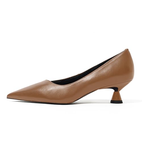 LEMUTISME Women's Spring Summer Collection Pointed Toe Matte Elegant Low Cut Low Heel Slip On Dress Pumps