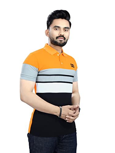 Image of Men's Regular Fit Striped Polo T-Shirts