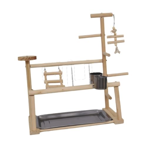 Perchoir en bois pour perruches calopsittes inséparables aire de jeux