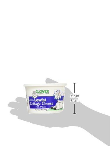 Clover Sonoma, Lowfat Cottage Cheese, 16 oz