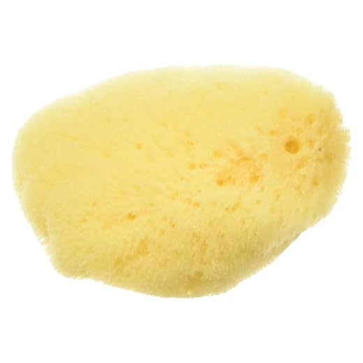 Zoo Med All Natural Hermit Crab Sea Sponge