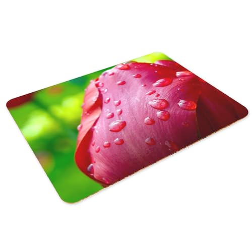 Sets de table napperons dessous en liège protègent vos meubles des taches