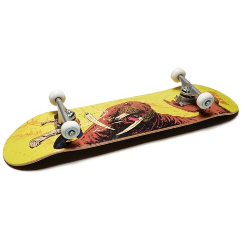 Image of [CCS] Skateboard Complete | Maple Wood | Professional Grade | Fully Assembled with Skate Tool & Stickers | Adults, Kids, Teens, Youth | Boys & Girls