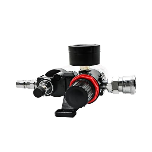 Régulateur de pression compresseur avec filtre séparateur eau AFC2000 - 6