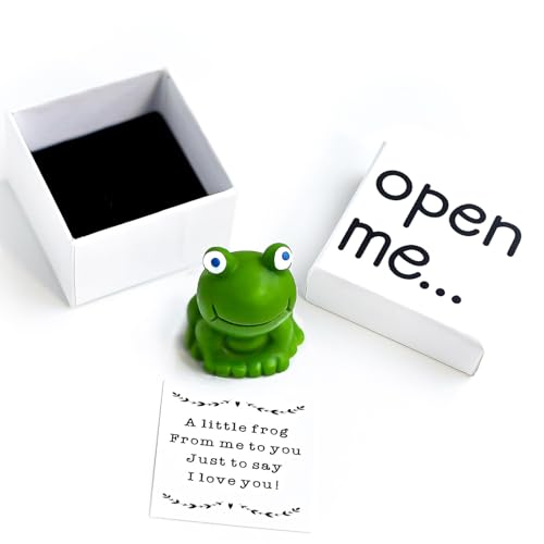funfeel I Love You Gift, Frog Gift, Gift For Boyfriend, Gift For Girlfriend, Frog Keepsake, Matchbox Gift, Valentine's Day Gift for Her.