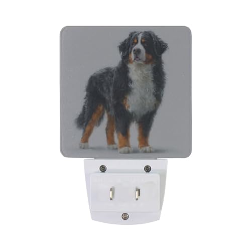 Lámpara nocturna LED para niños con sensor crepuscular miniatura 2