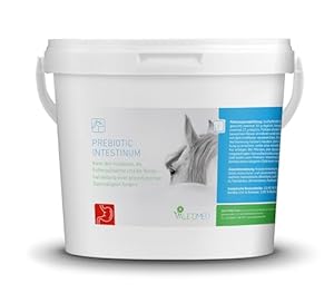 Valetumed PREBIOTIC INTESTINUM Ergänzungsfutter für Pferde, 2.500 g