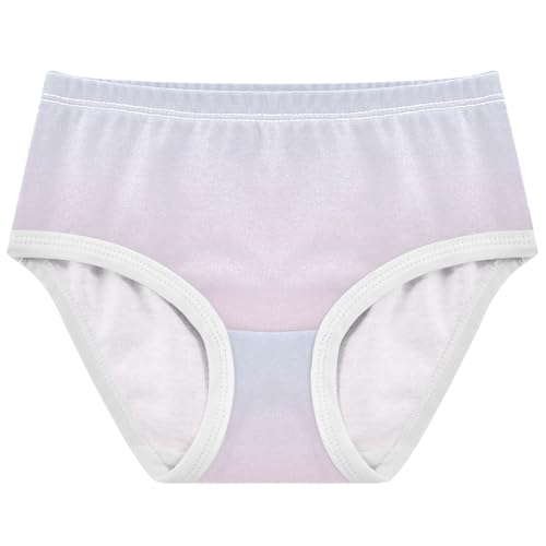 Joisal Elegant Blue Cute Pink Gradient Cute Panties Girl Toddler Underwear Floral Cotton Funny Briefs Kids Undies 2t