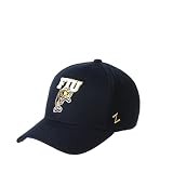 Florida International Golden Panthers NCAA Officially Licensed Snapback Hat Competitor Team Color