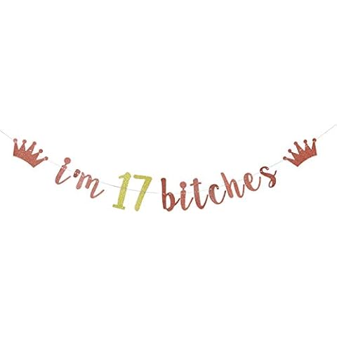 I'm 17 es Banner, 17th Birthday Party Decor, Funny Seventeen Years Old Birthday Banner, Girl's 17th Birthday Party Decorations (Rose Gold) Cover