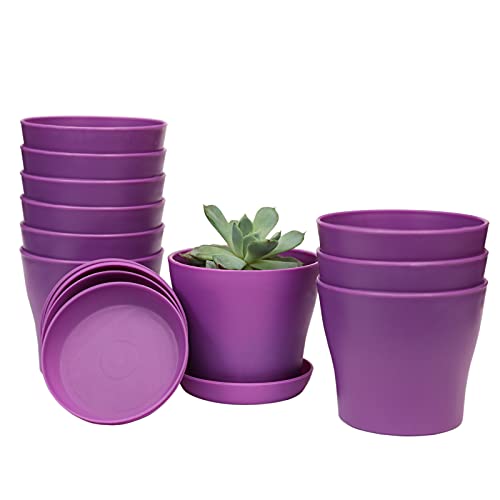 TDHDIKE 10 Pcs Plastic Planters Indoor Flower Plant Pots, Mini Flower Seedlings Nursery...