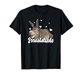 Shrek Valentine's Day Donkey Irresistible Retro Hearts T-Shirt