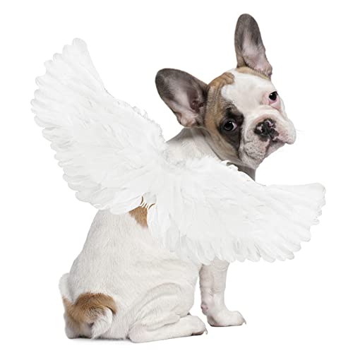 Rypet Pet Halloween Costume Dog White Angel Wings Cosplay Costume for Small Medium Large Dog Halloween Birthday Christmas Party