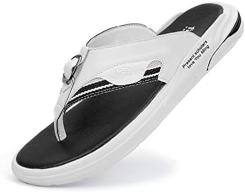 [ZGHQHCDRH] r[`T_ Y xg _炩 ɂȂ ~ j T_ AEghA C v[ ][g y  ʋC YT_ x_ jp  r[` ItBX amC