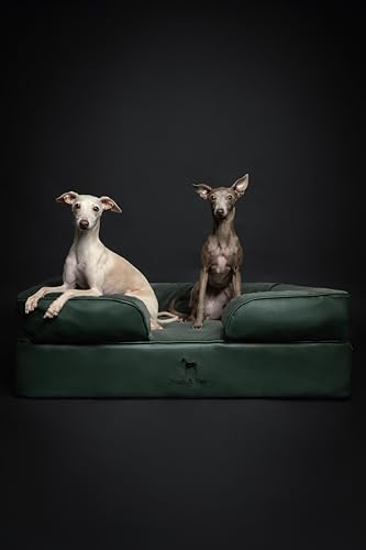 Image of NOAH & PAW Large Dog Bed, 35x25x11 Inch, Orthopedic Dog Beds, Eggshell Memory Foam Infused with Cooling Gel, Inner Cover, Water Resistant, Machine Washable (Faux Leather)