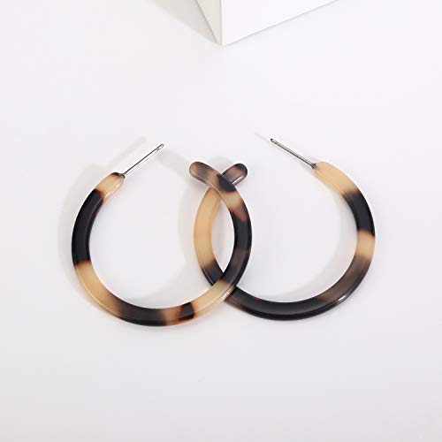 Tortoise Shell Resin Hoop Earrings Fashion Jewelry3