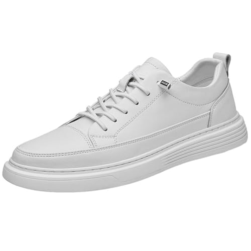 [RAMEMO] Y Xj[J[ vC rWlX XP{[V[Y Xb| JWA EH[LOV[Y Ȃ ʋC ϖ ₷ ₷ ʊw ʋ  AEghA X|[c zCg 25.5 cm