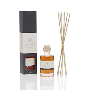 Raumduft Vanille – Diffuser mit Stäbchen – Duftöl mit ätherischen Ölen weich, sinnlich, pudrig, süß – 100% Natürlich & Rein – Lufterfrischer mit Duftstäbchen – Vanilla Raumdüfte für Wohnung (100 ml)