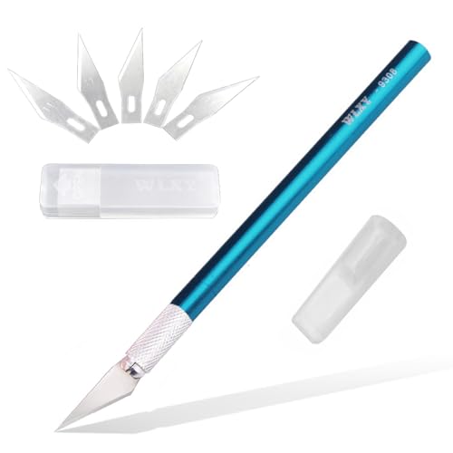 KimlontonA[giCtv fUCiCt  ׍HpJb^[ (ւn5) 6_Zbg ؂G S ͂ ppi vfpH