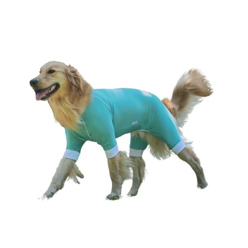 ELL'S PARK ۃEFA PROMOVE (p[X/^[RCY/RLTCY) { @\hbOEGA (^/Xgb` f) \ 