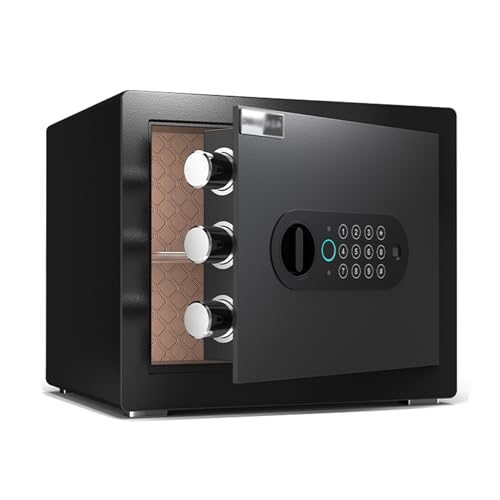 XRRJFYH Caja Caudales con 4 Formas de Desbloqueo Caja de Seguridad con Función de Alarma Safe con Llave Caja Fuerte con Codigo(Black,25cm/10in)