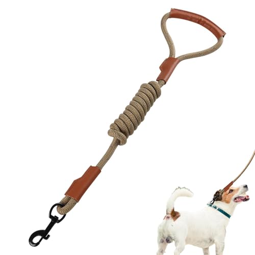 p[h | ːϋv[v,^A^p̉Kȃnht̋͂ȕی샌U[EH[LO[h