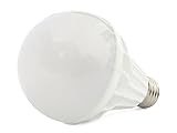 Lampadina