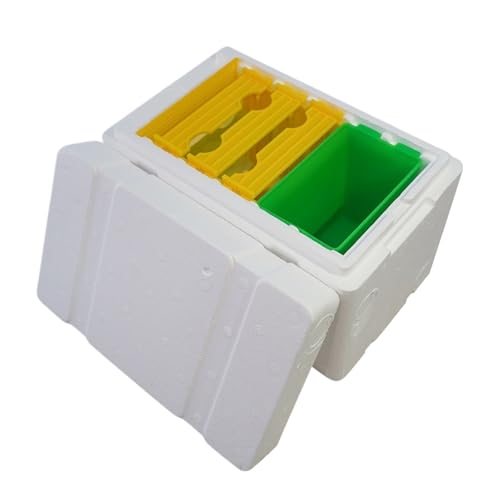 Ruches en mousse et boîtes d'élevage de reines pour apiculture