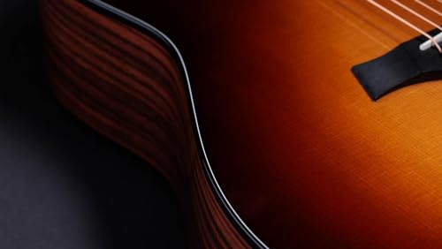 Taylor H214034011007990039 50Th Anniversary 217E-Sb Plus Ltd Acoustic-Electric Guitar thumb #5