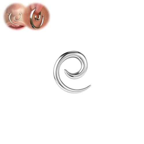 BodyAce Stainless Steel Ear Weights Gauges, Spiral Earrings Expander Snail Twist Ear Plugs, Earring Stretching Tapers Ear Gauge 2/4/6/8/10g Piercings Jewelry