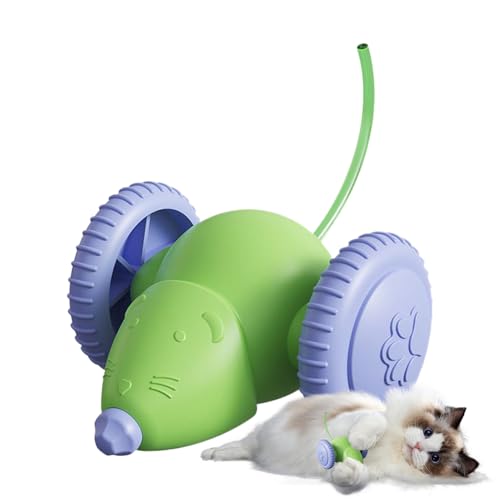 Cat Toys - C^NeBu LbggC lY~ ,[d LEDCgt V P | NX}X nEB av[g