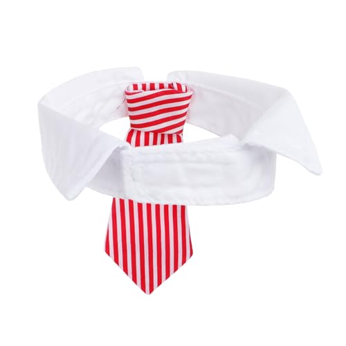 Set Disfraz Para Mascotas 2 Piezas Sombrero y Corbata miniatura 4