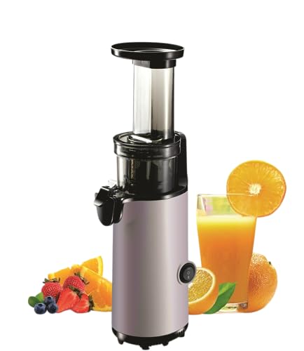 JuiceInstant - Kompakter Kaltpress-Entsafter | Leiser Betrieb | Elektrische Saftpresse mit Mixer-Funktion | Fruchtentsafter für Obst & Gemüse | Einfache Reinigung, Graphitgrau, Edelstahl