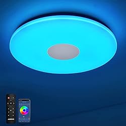 Lampara Baño Bluetooth Lámpara de techo 24W, ?30 CM,JDONG Bluetooth con aplicación de control remoto y altavoz lámpara de techo LED regulable con opción de cambio de color, función de luz nocturna?Ruido Blanco,ip44