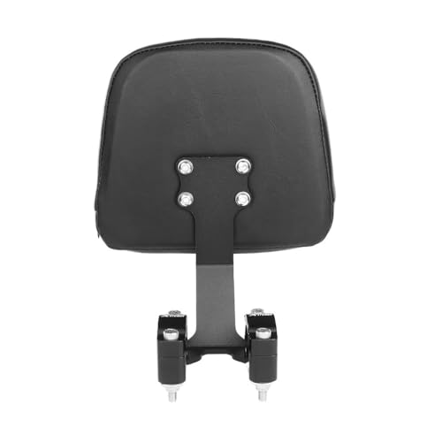 Coussin Dossier Passager Moto Sécurisé contre Chocs Zoomer